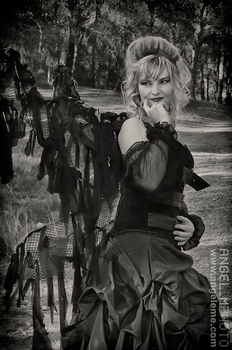 anne crosv, escritora