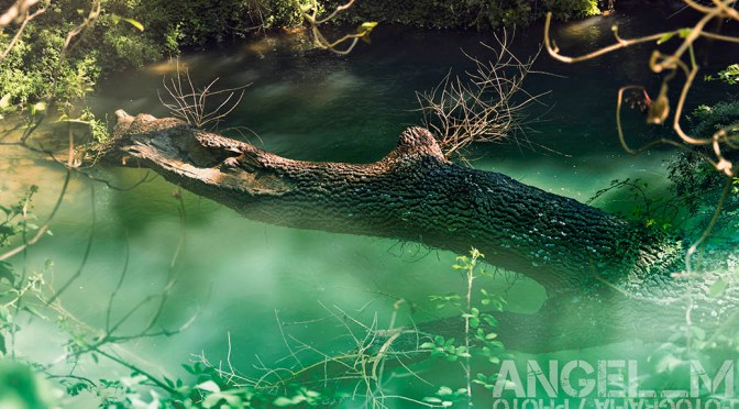 nueva actualización de la web