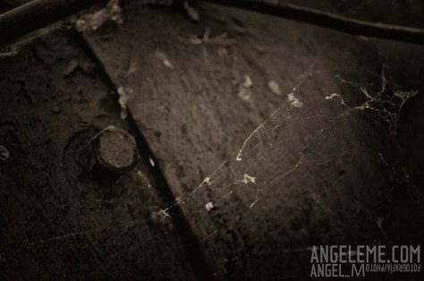 _DSC3722c4_logo_750px